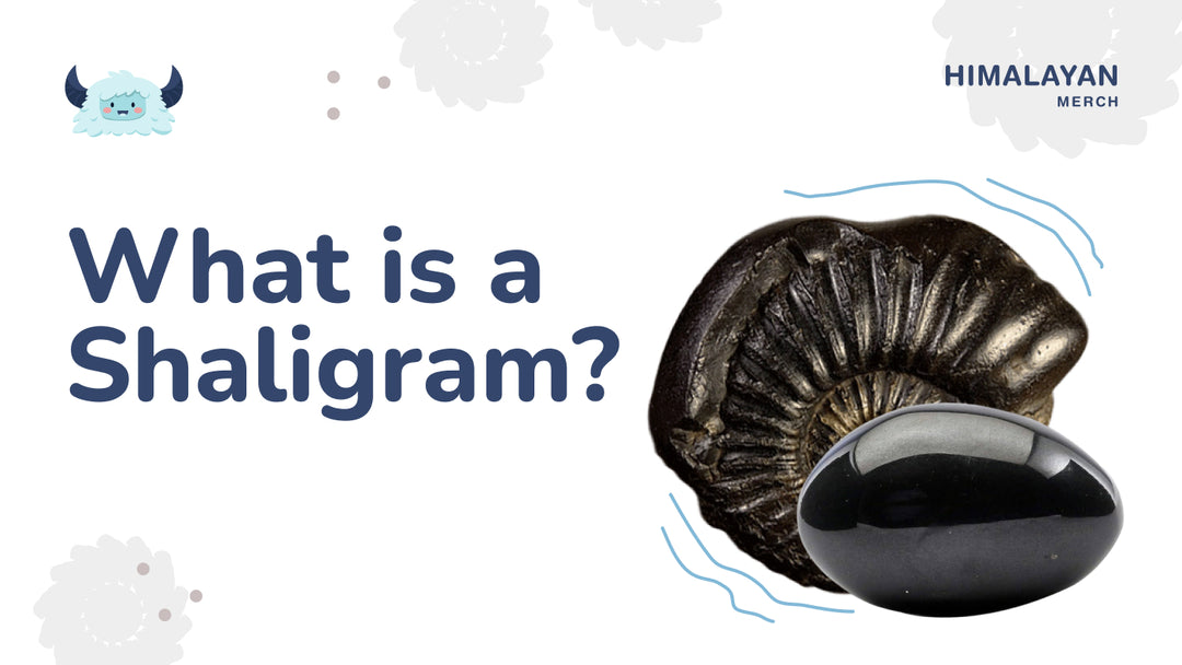 What is a Shaligram?